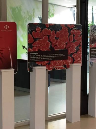 Wereld Trombose Dag fototentoonstelling.jpg