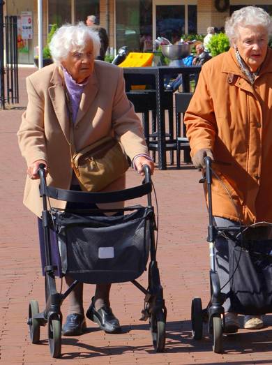 rollators.jpg