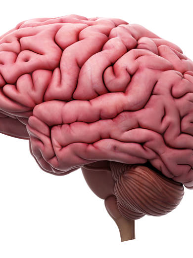 Shutterstock 305273708