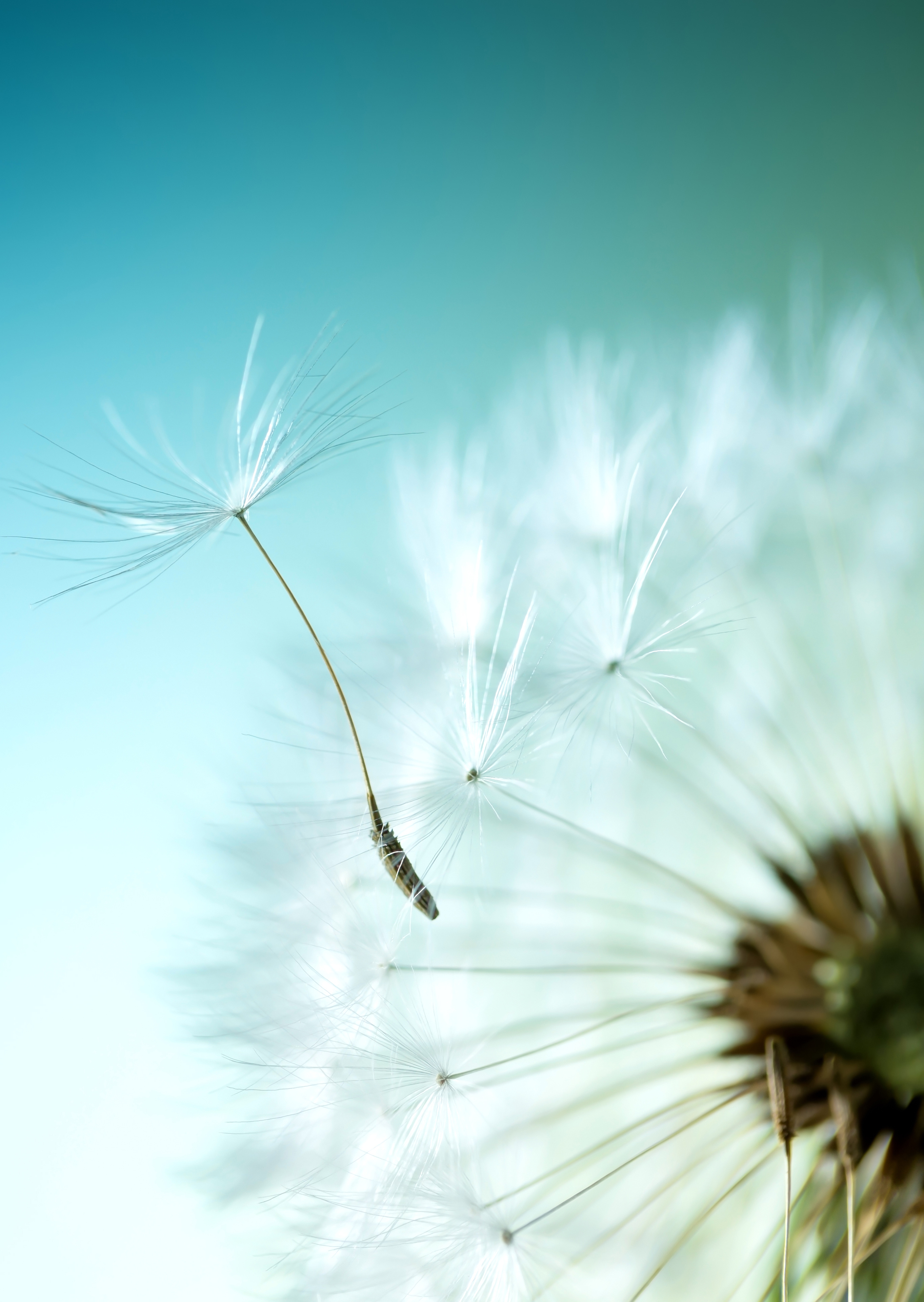 20231009 Uitsnede Foto Gedenkdag Shutterstock 282705149