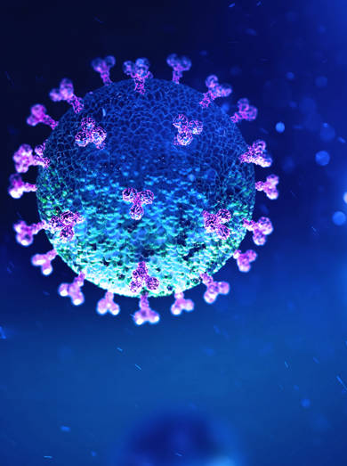 Shutterstock 1643947495