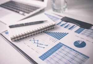 Shutterstock 378626257