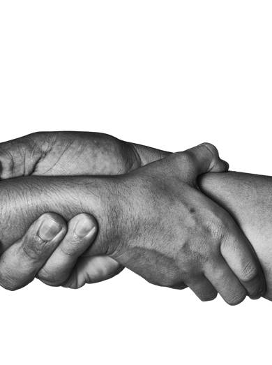 Shutterstock 545568793