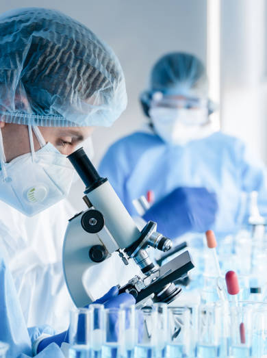 Shutterstock 1726134715