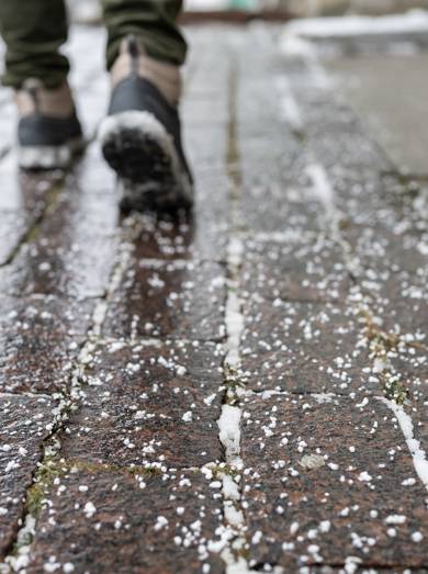 Shutterstock 2105718500