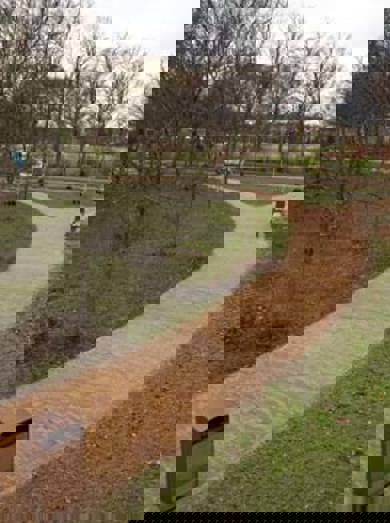 Park Alrijne Leiden 2374 (1)